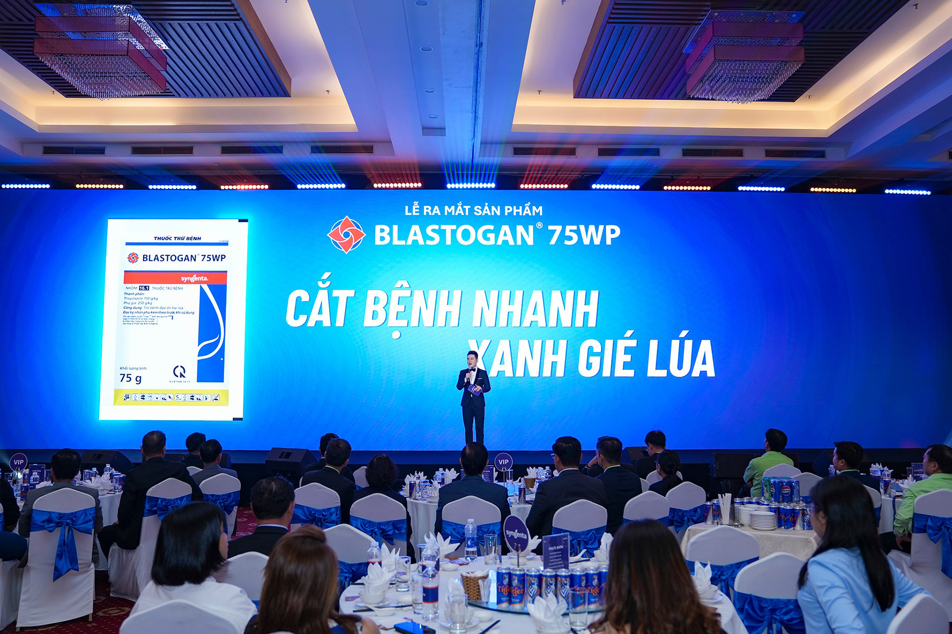 566240937_1142825921348163_3426052139545555778_n-1