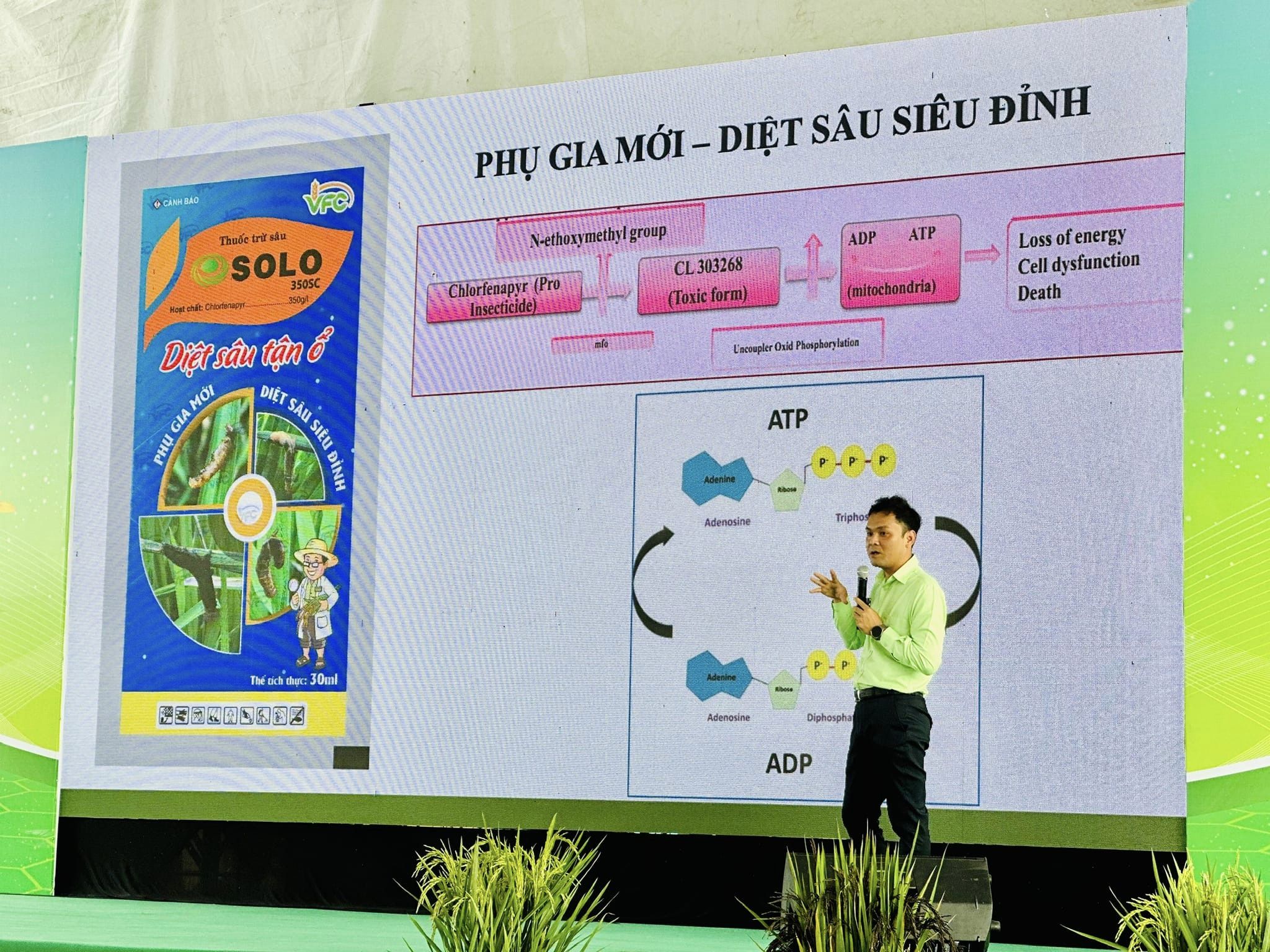 428622627_712297157734377_5643419258512749061_n