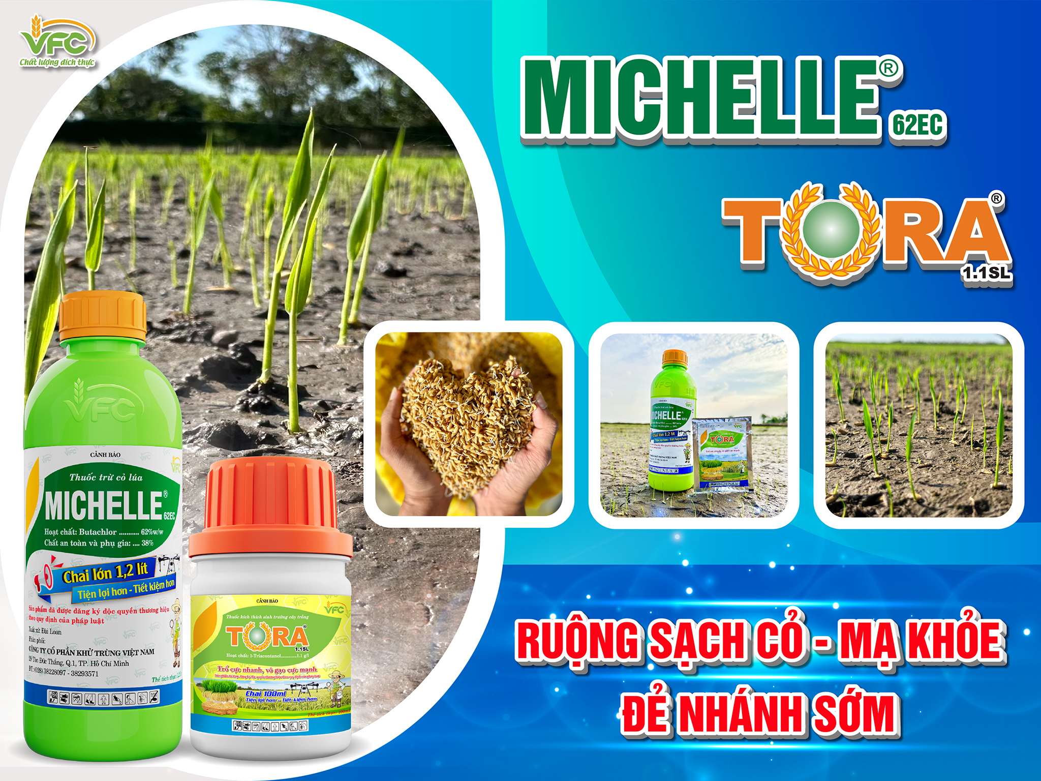 432743412_722783353352424_8604265932427153350_n