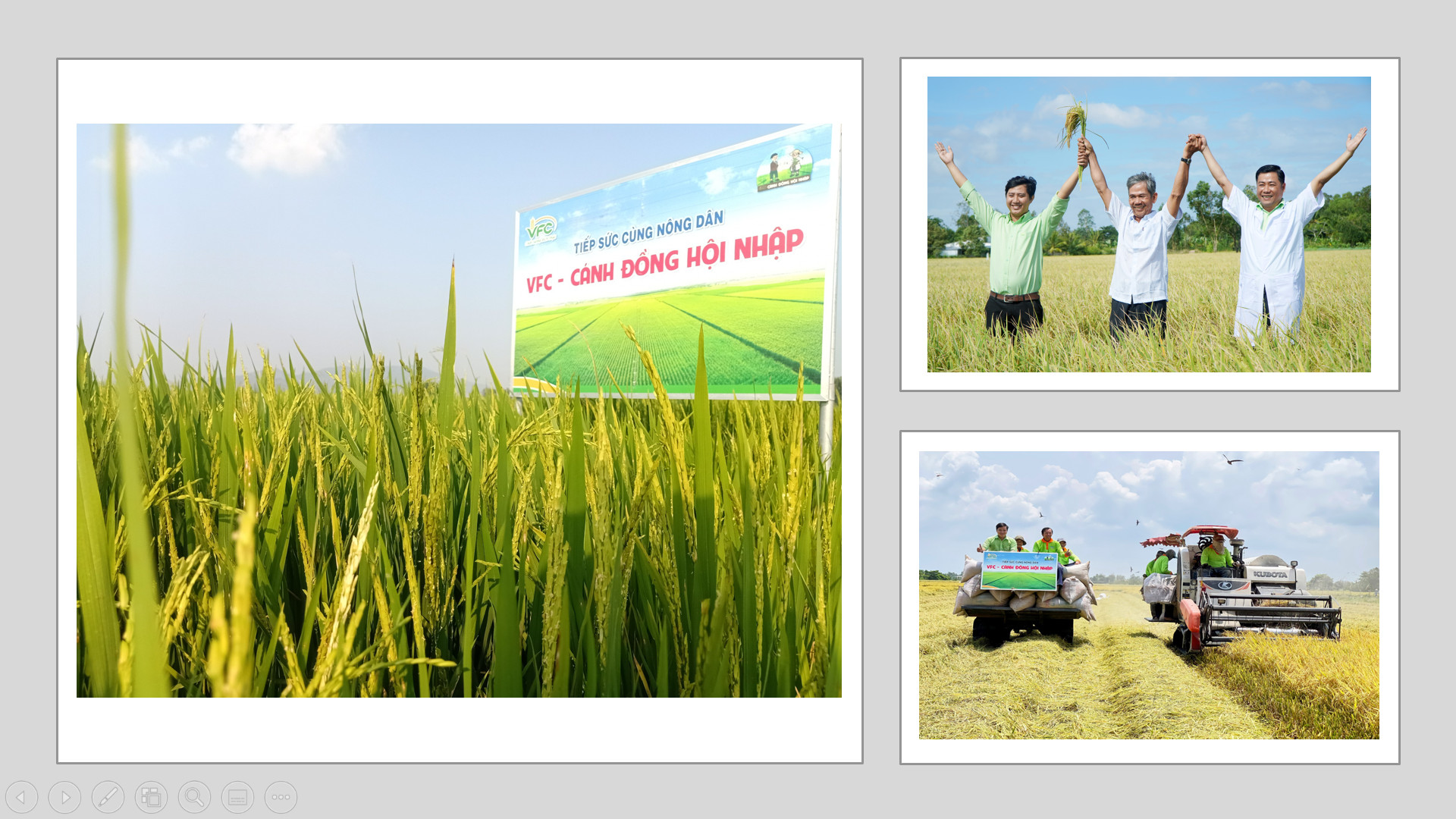 bf66cef413b1d0ef89a0