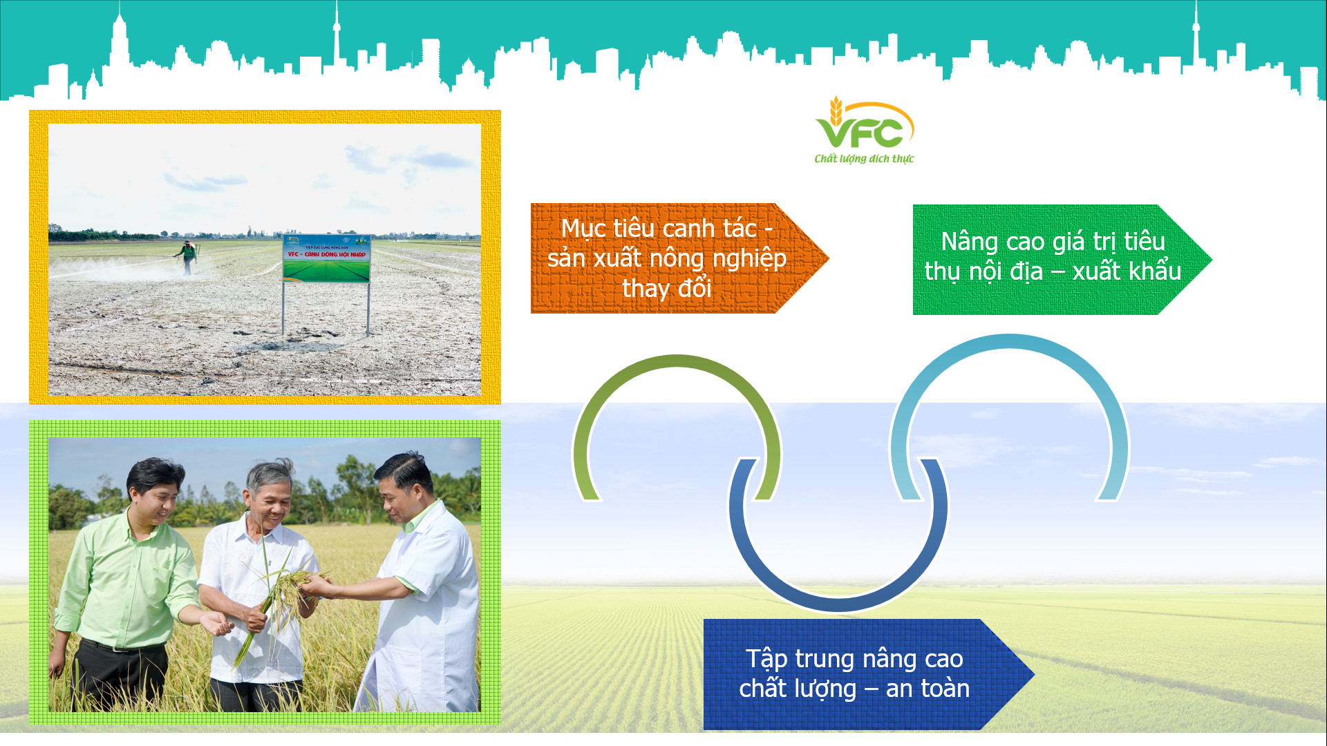 z3494606827710_8d9645a7dd84116e8d268d680fd8142c