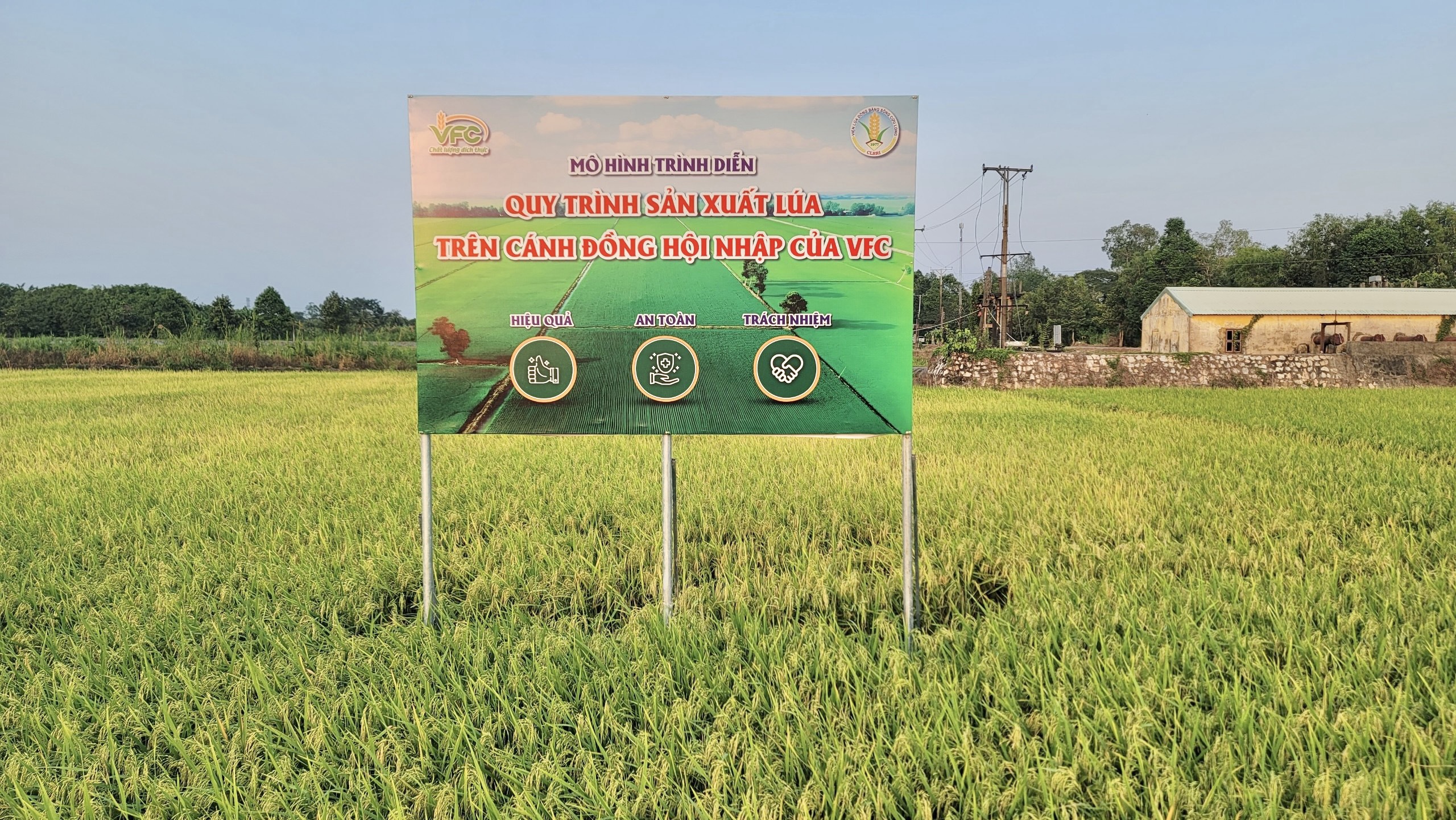 z5176039553003_cad623f2a250dade2438493a5aa7148f