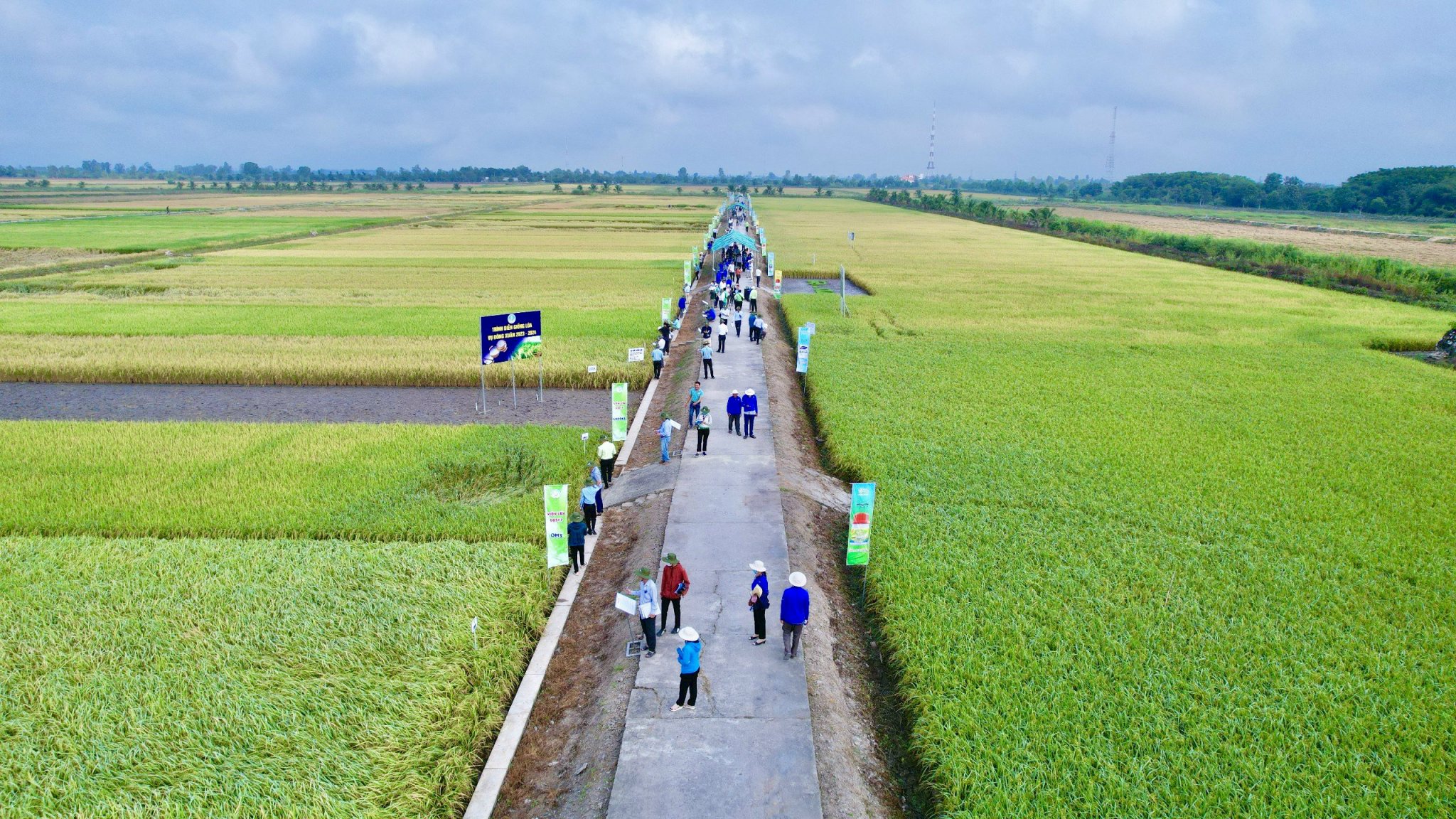 z5176657147558_77dfdbc29ec4a7480ada430f5aabdfeb