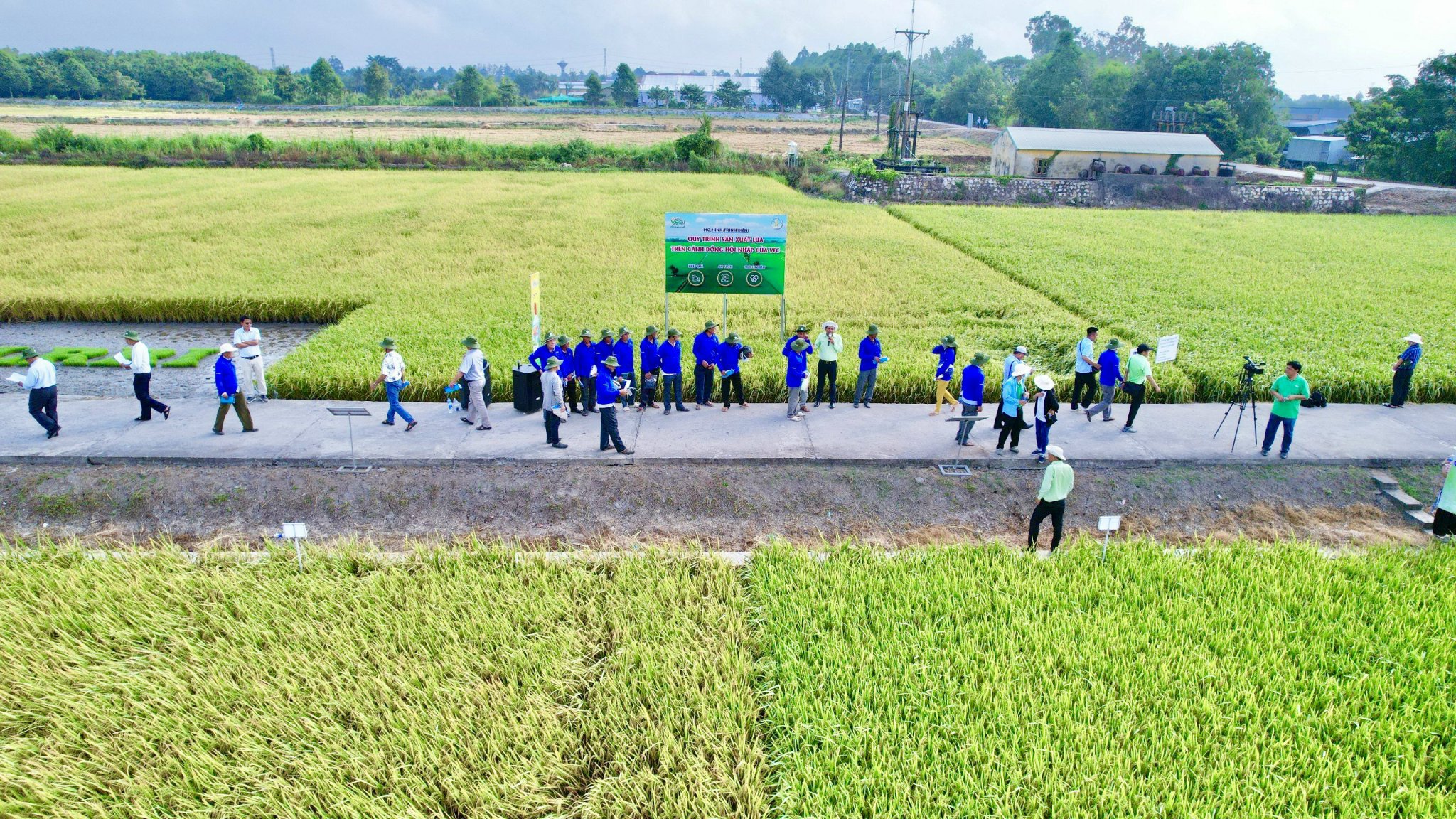 z5176657182704_39e7f4727aba844c4dcc967b024139df