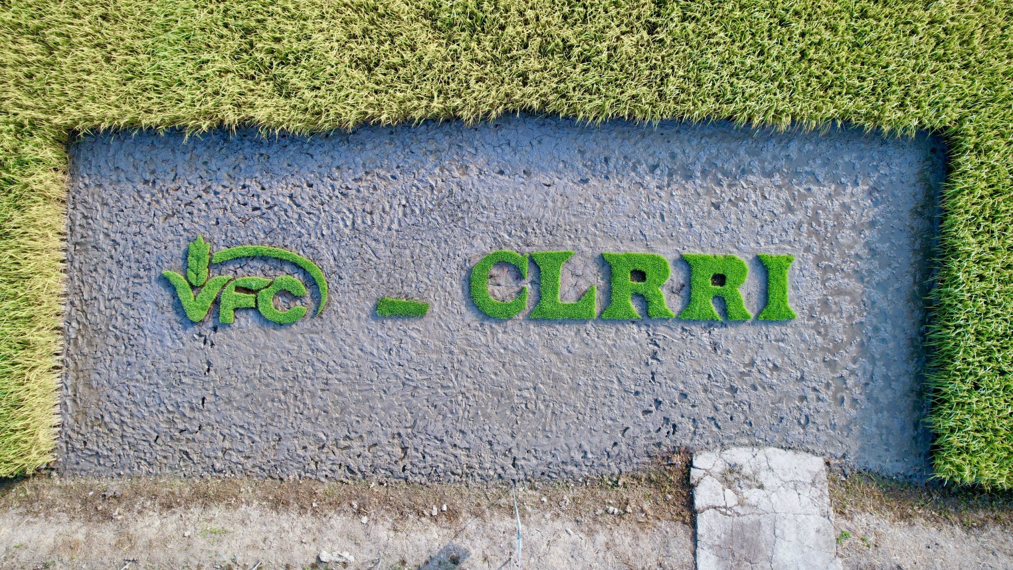 z5176657212084_253eb72d795dbf8fc497449a762bb2e3