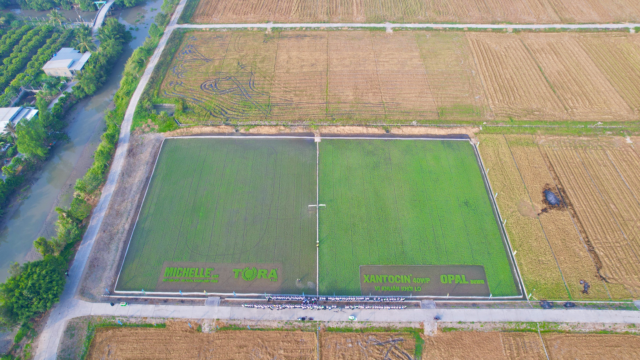 z5261652219665_334ac72c21d6cc0368d5802da9fab24d