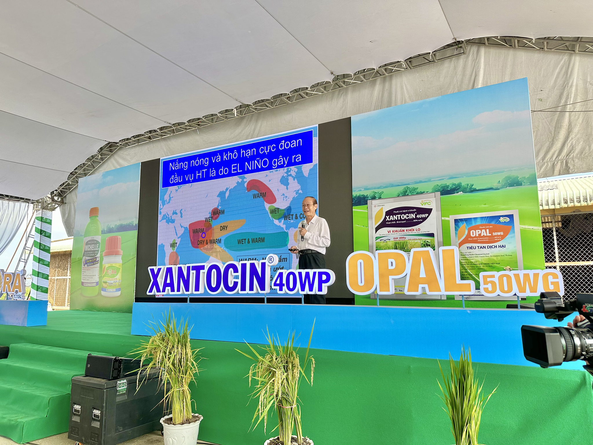 z5261655360802_bea58eb5099c486801916b1cd9dfb695