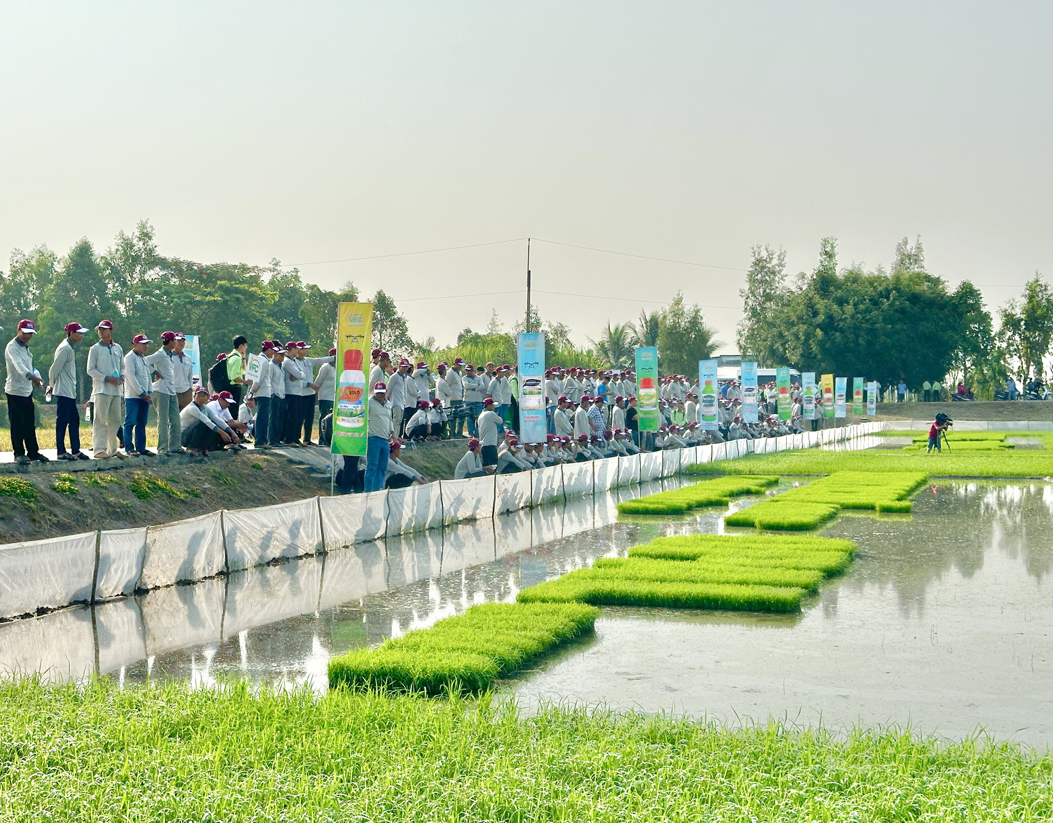 z5268097724851_d01eaeb515a350412d2e6d56f317d950