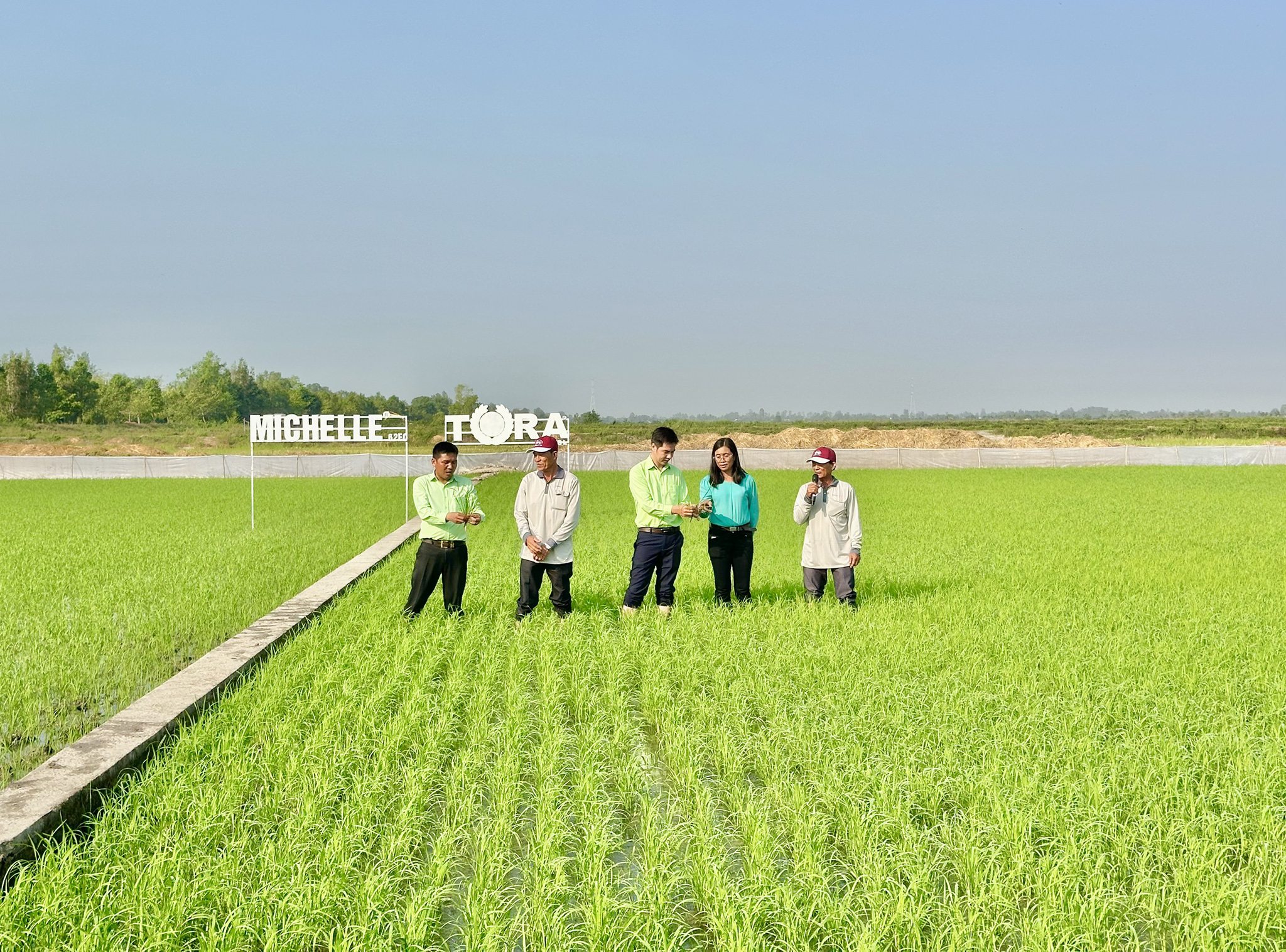 z5268097725337_3b1e49f3f5418705d52add752071e5e6