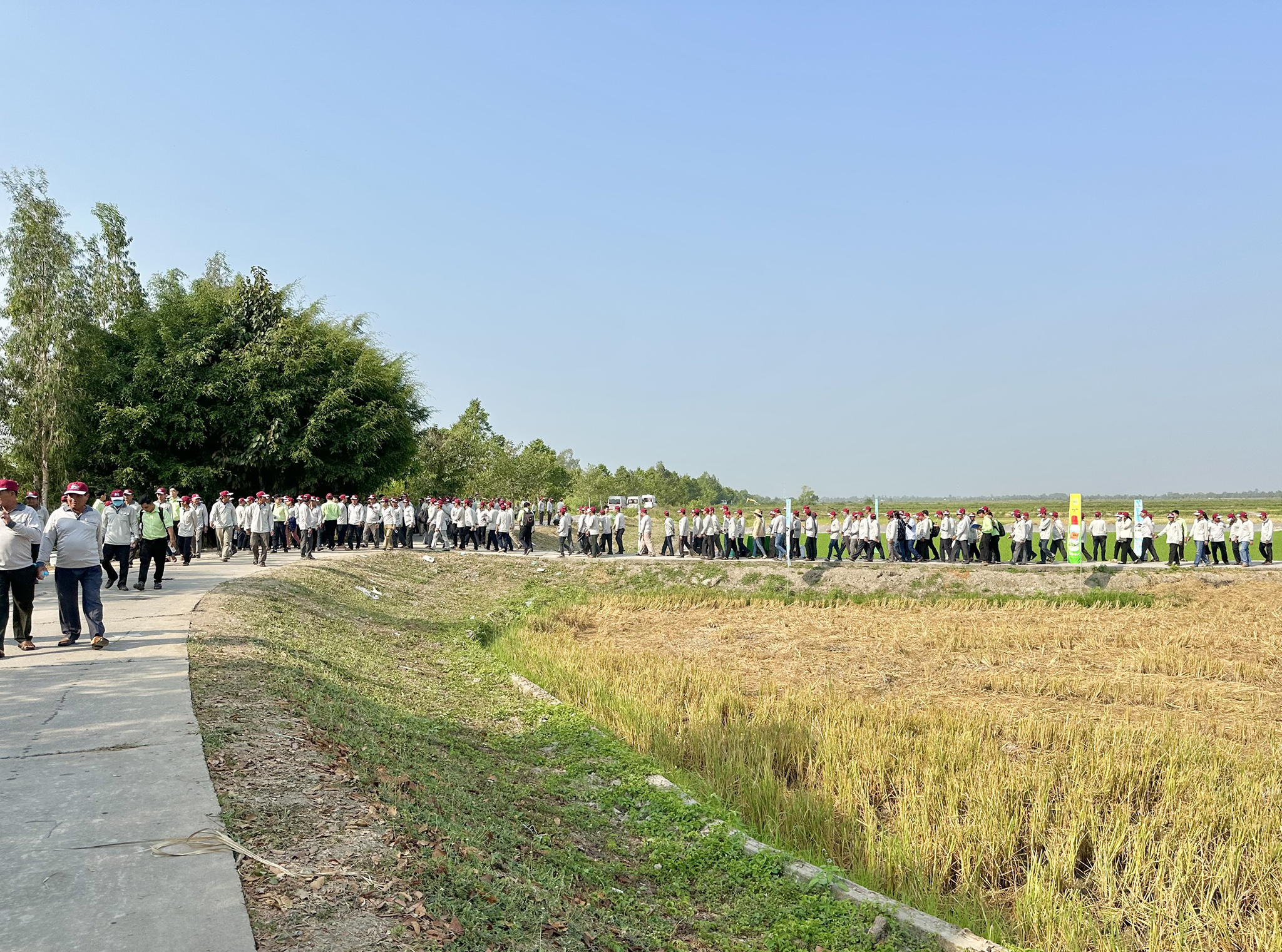 z5268098040533_a95a1bd613cf8df02d5b669725ae6b76