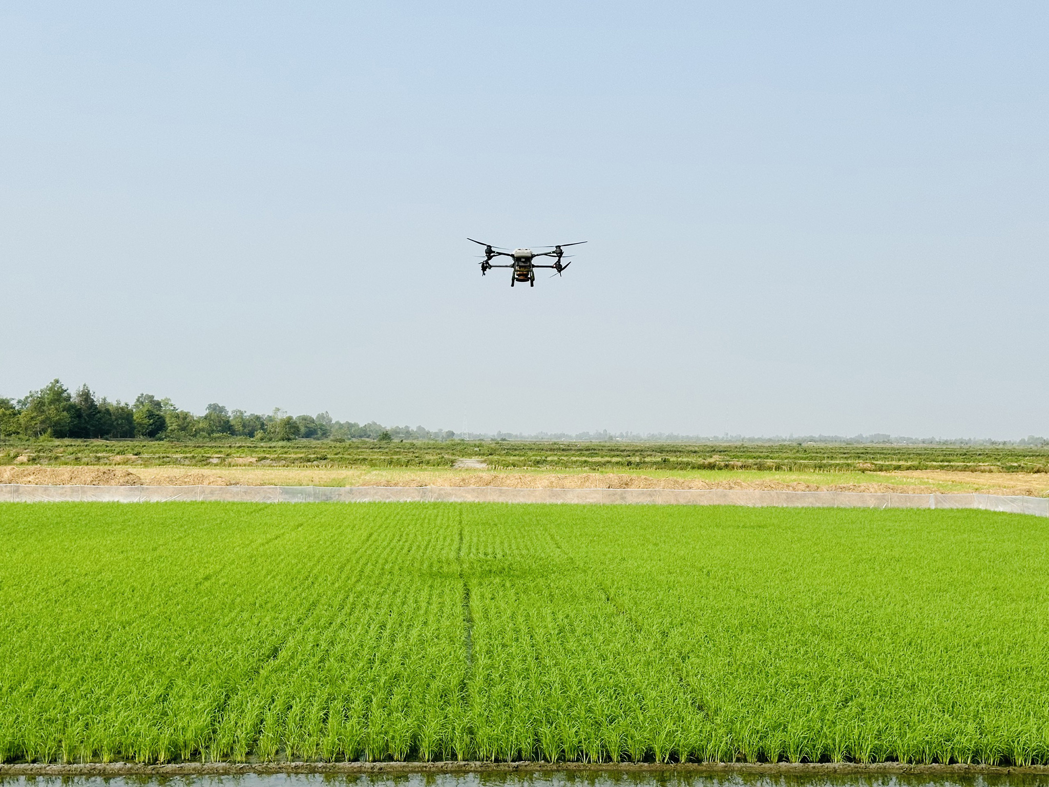 z5271112370680_5921fbe5a98f46dcb7f593e6bdd11c54