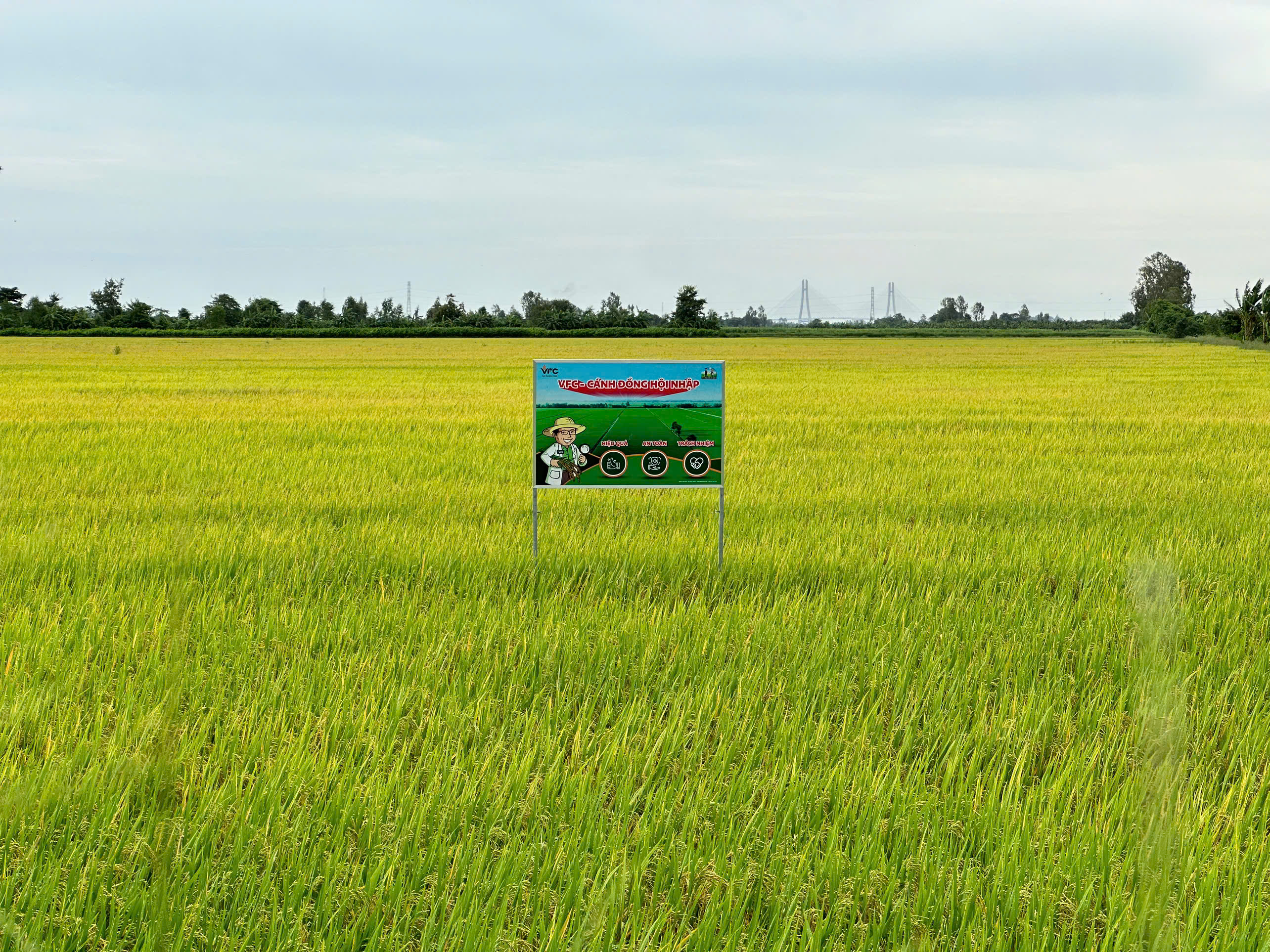 z6960679506856_38f92b48ac326a07efbdf91e49893ec0