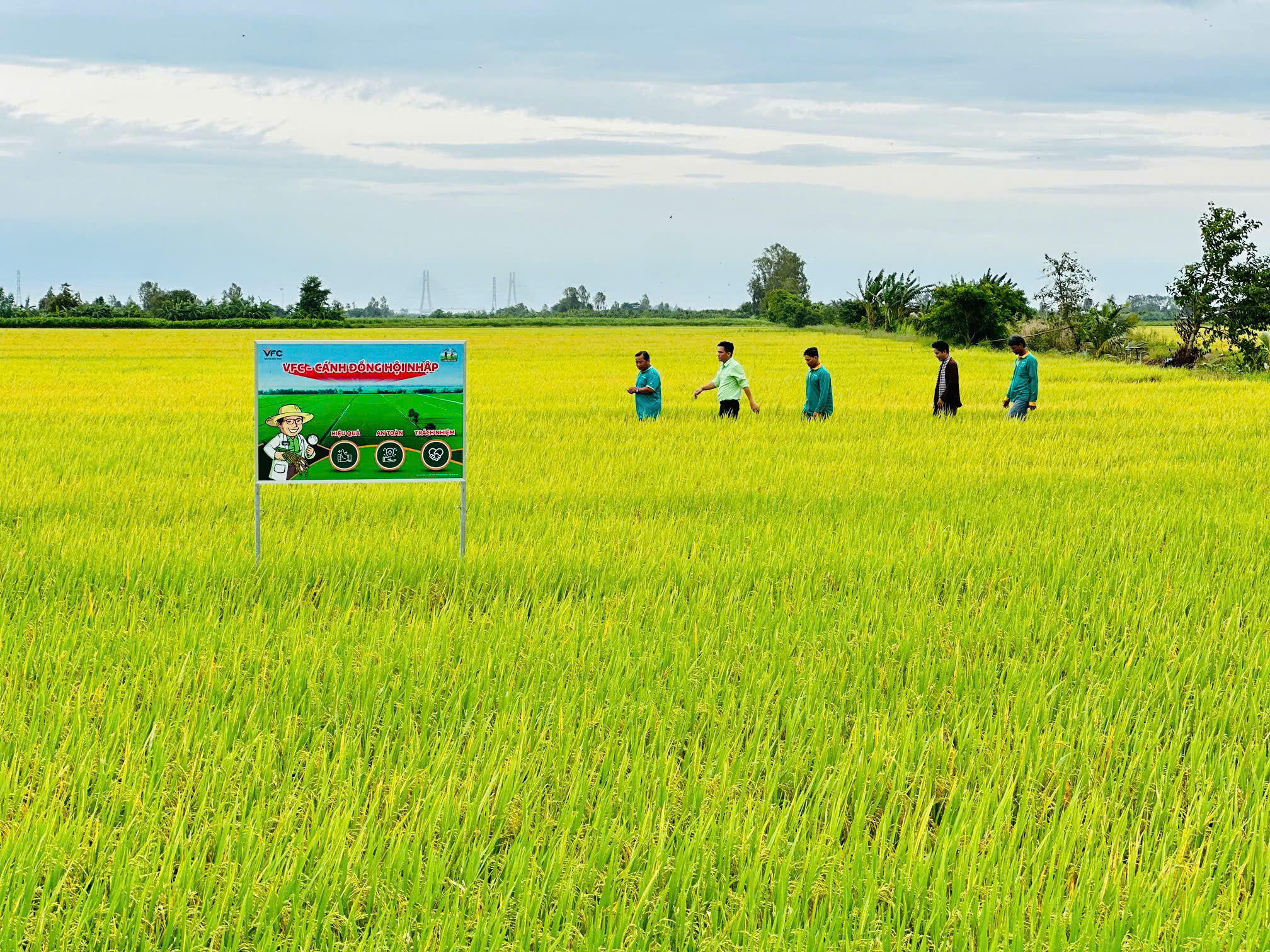 z6960679537512_21e28fb56534fba5e5c6ede94082e0ab