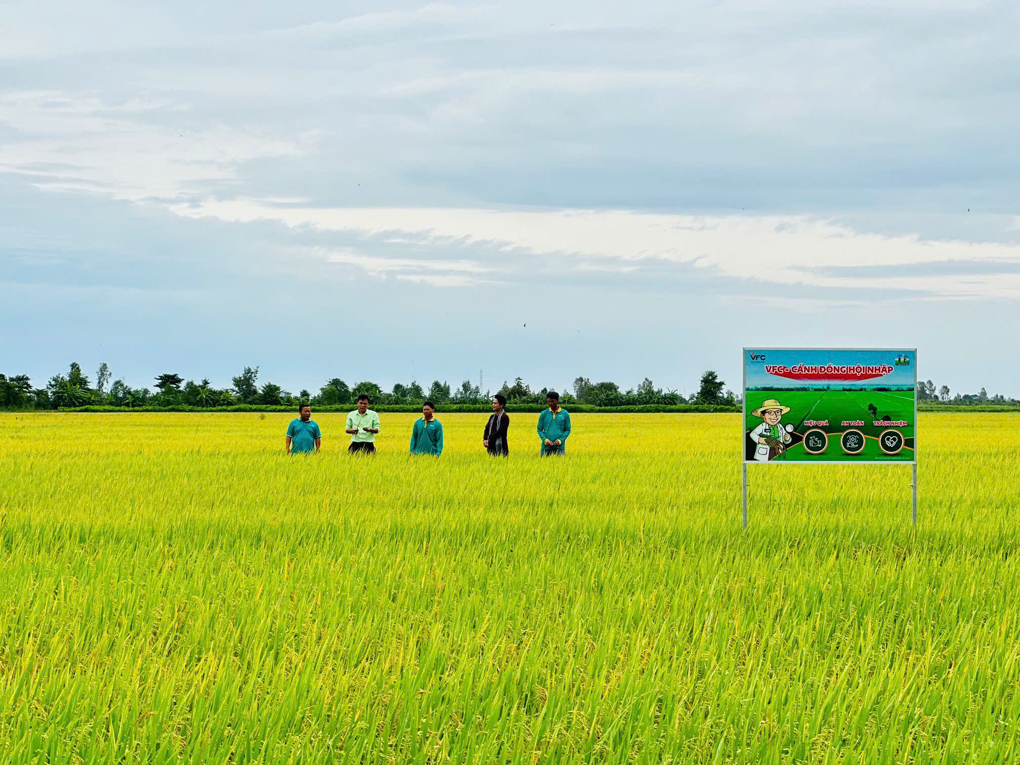 z6960679546278_17660f80d26b1e3777b6a16bb49a4406