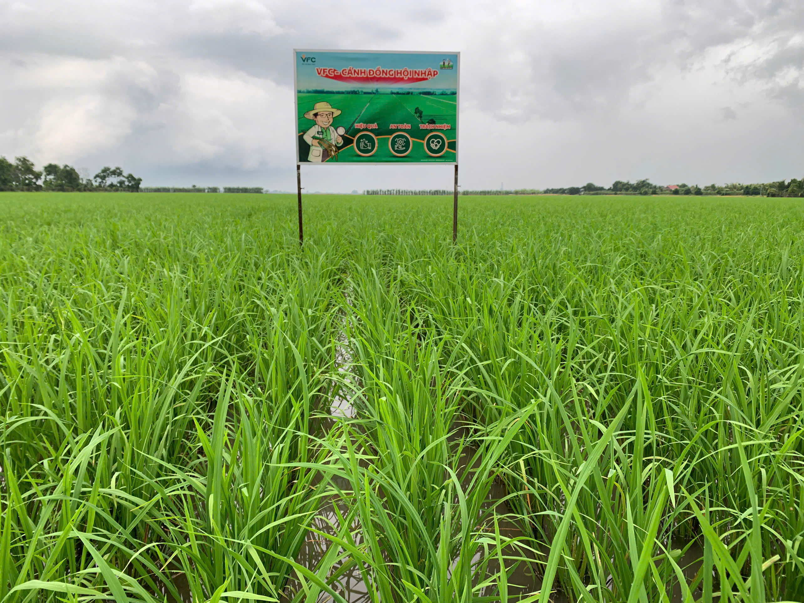 z7233344467560_1637e49bdc335de5cc91aa6eef93959d