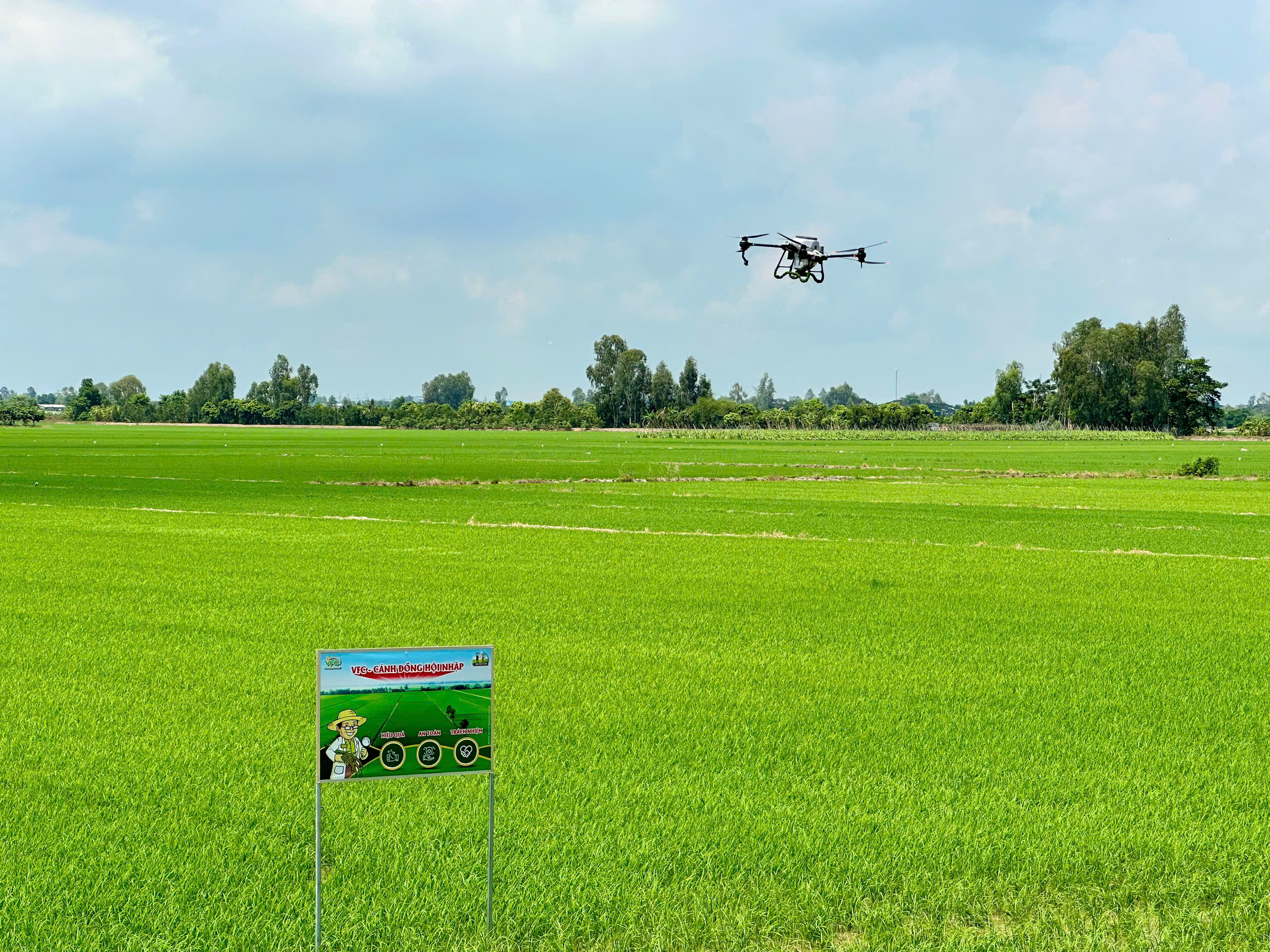 z7243307966026_51e51eae8ee2a92748de8b9ae49f9b1f