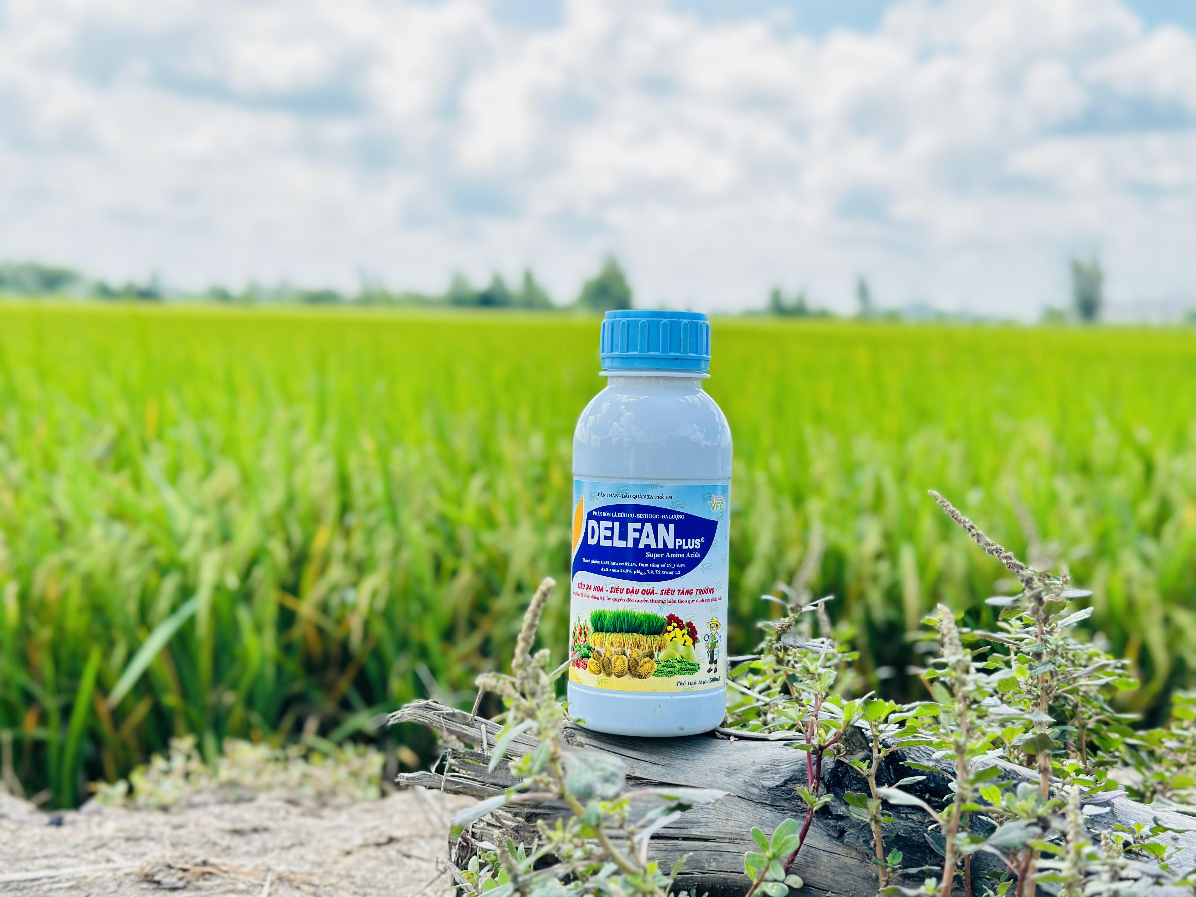 anh-san-pham-vfc (16)