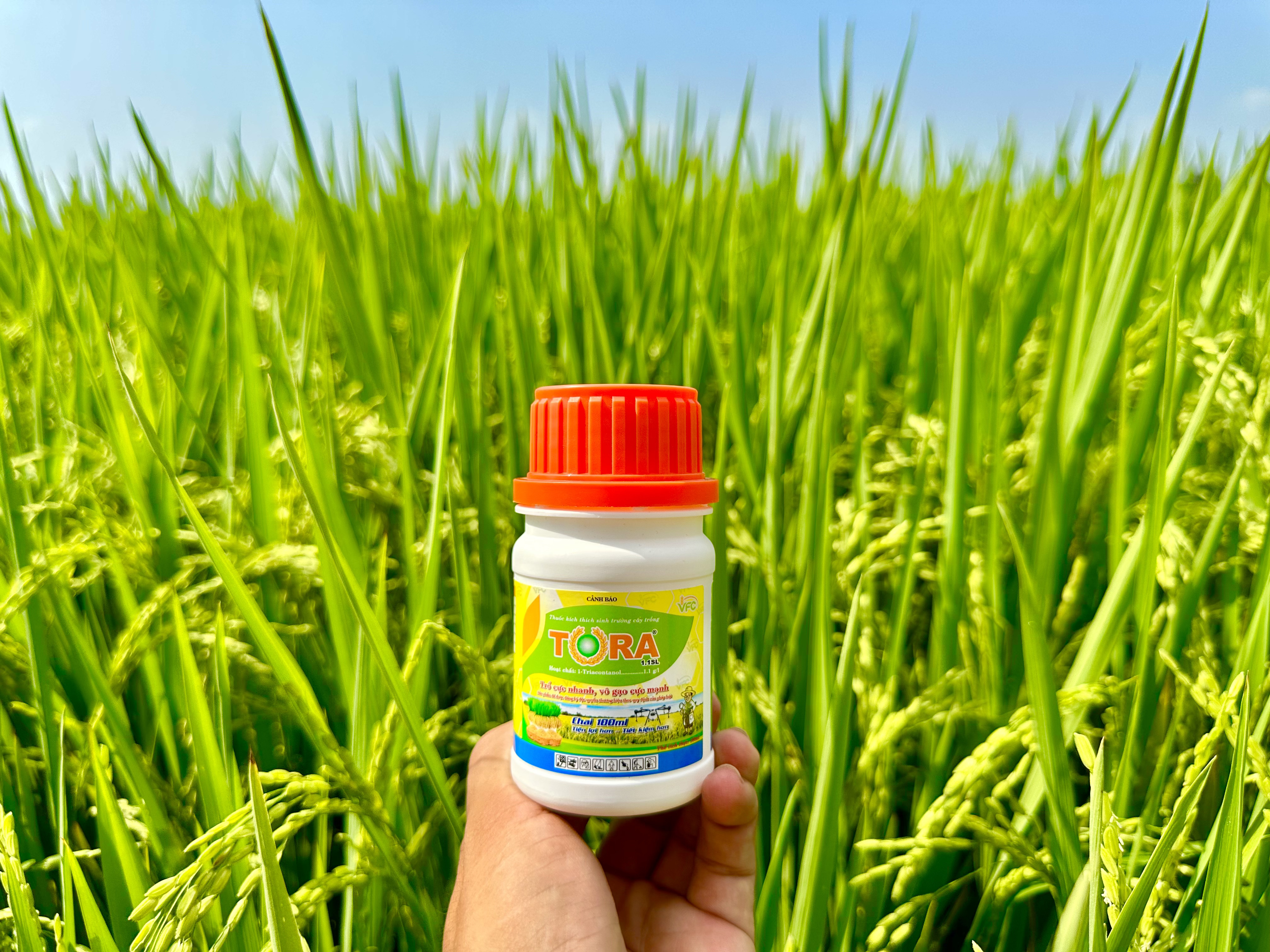 anh-san-pham-vfc (2)