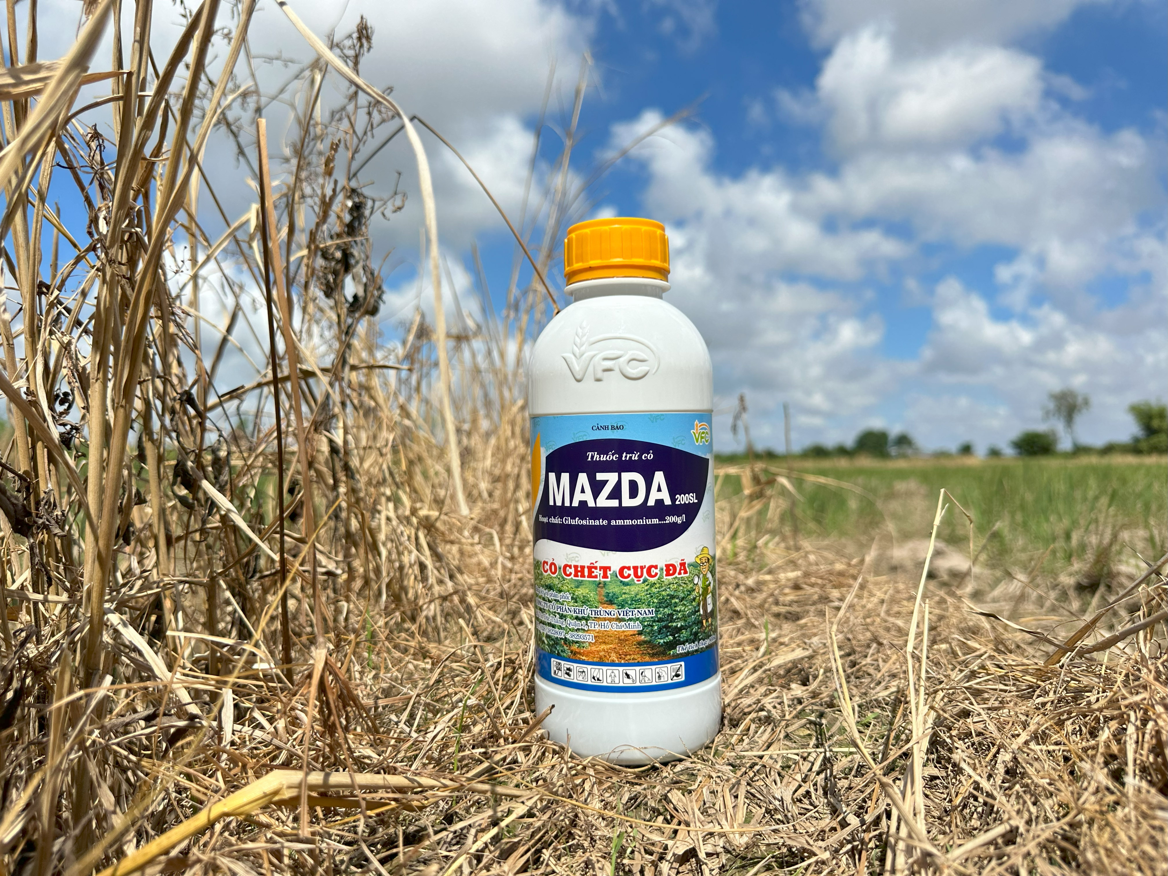 anh-san-pham-vfc (32)