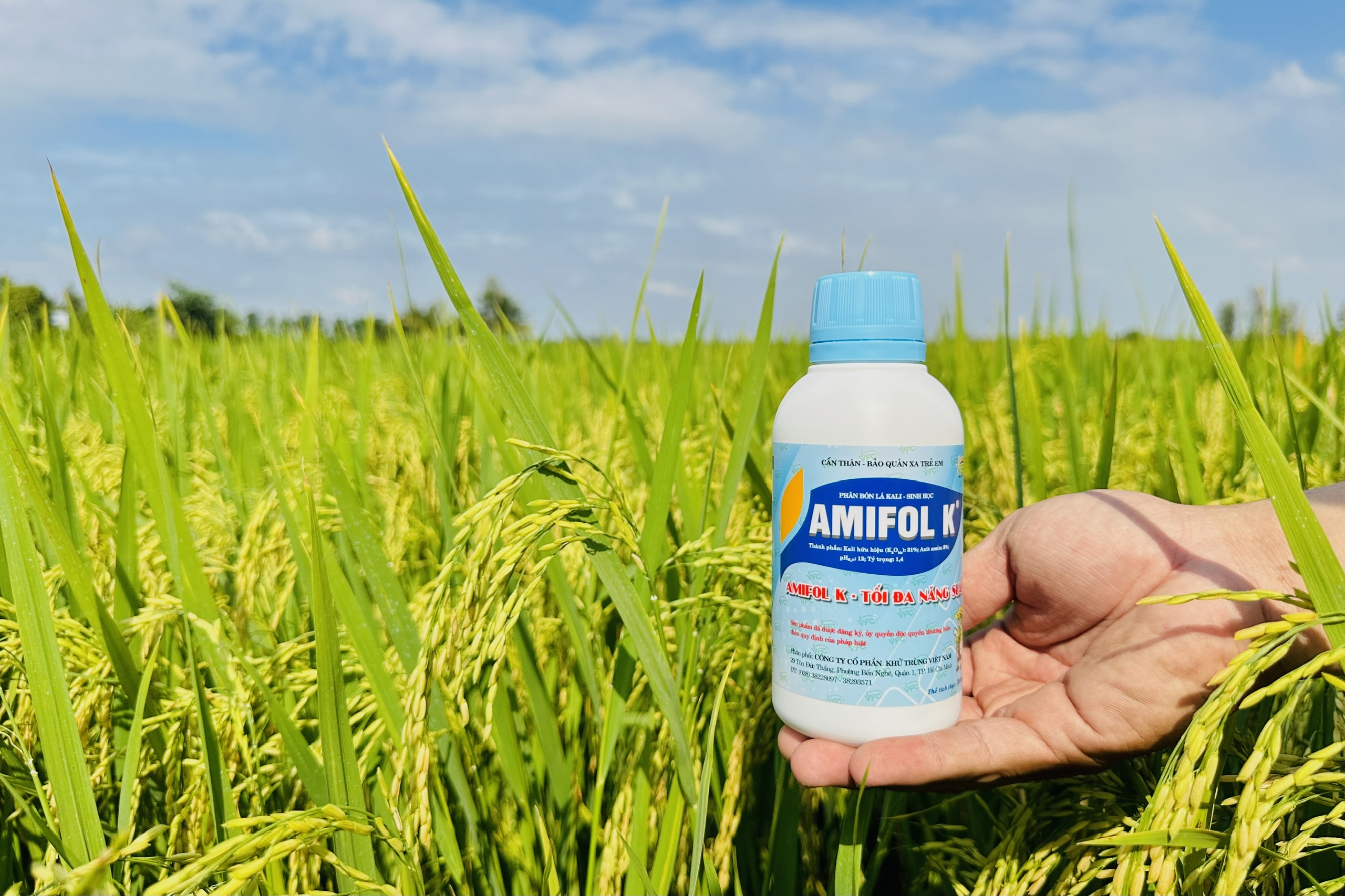 anh-san-pham-vfc (4)