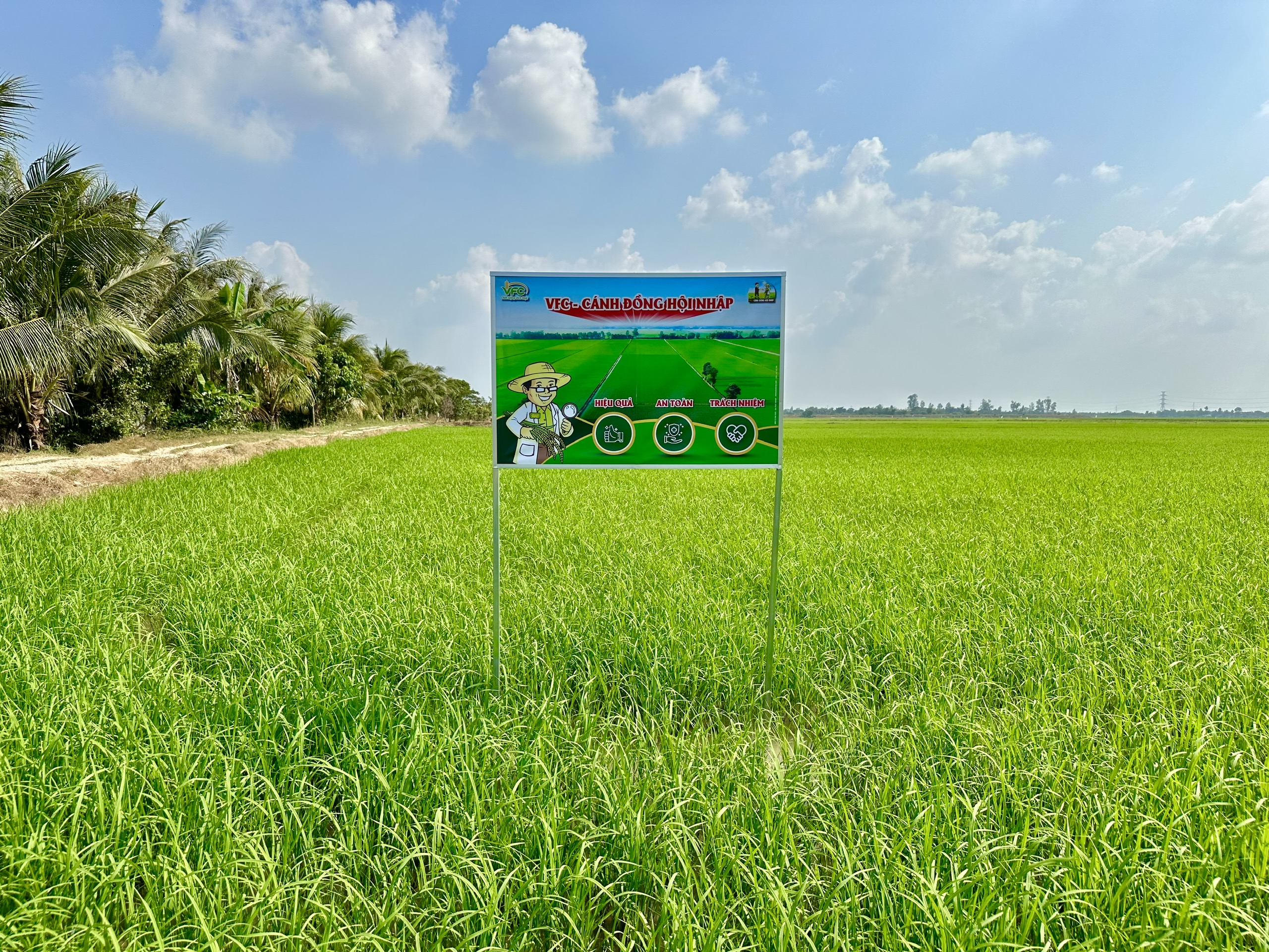 nong-dan-hoi-nhap (17)