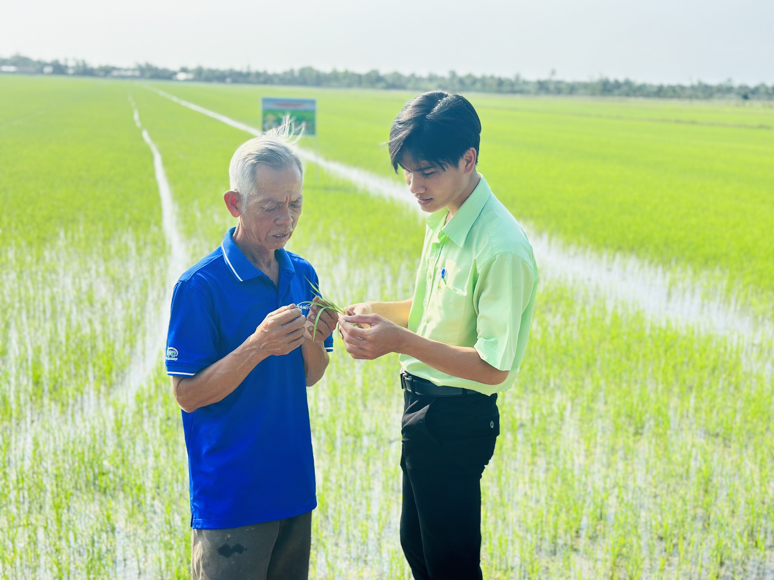 nong-dan-hoi-nhap (18)