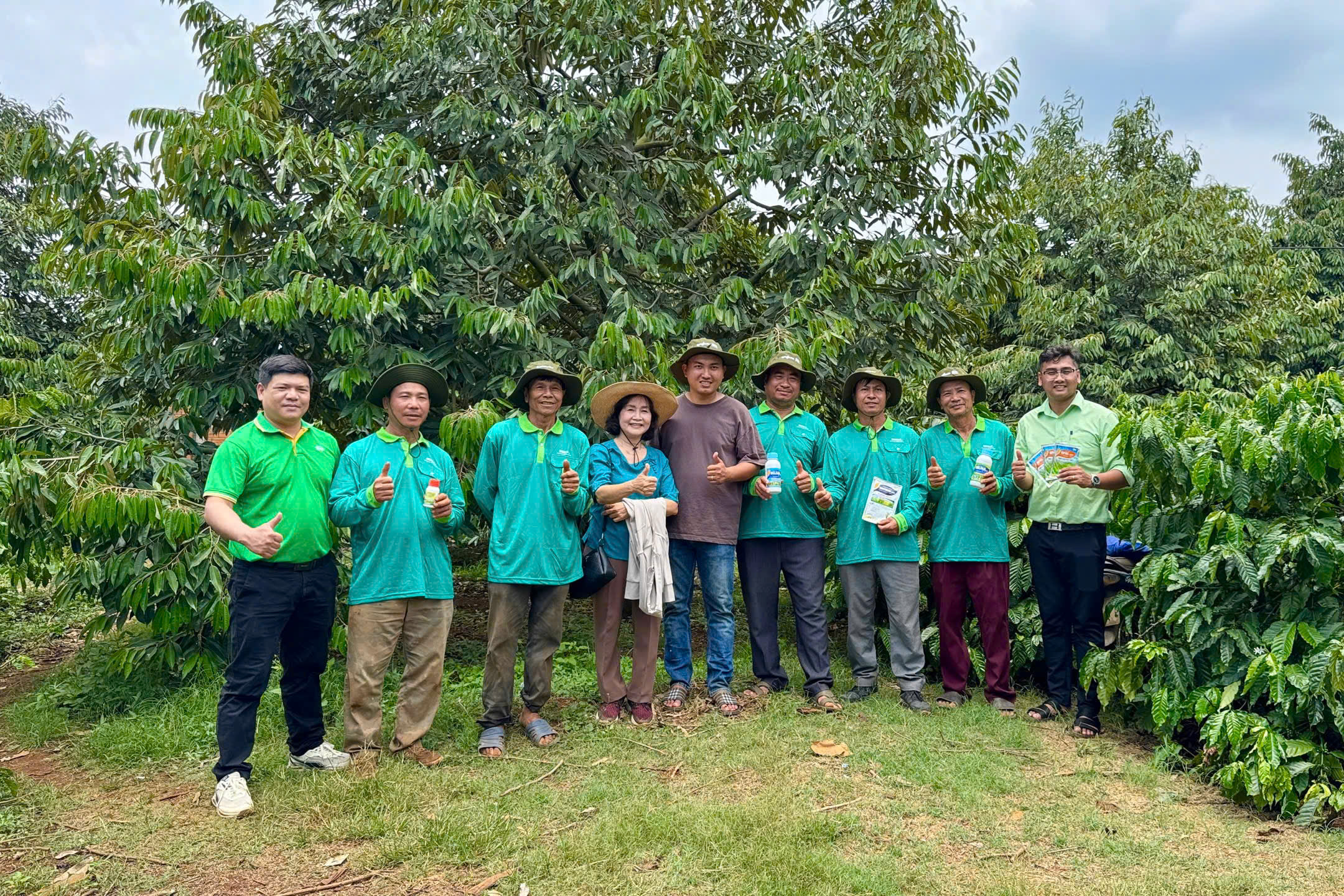 nong-dan-sau-rieng (17)