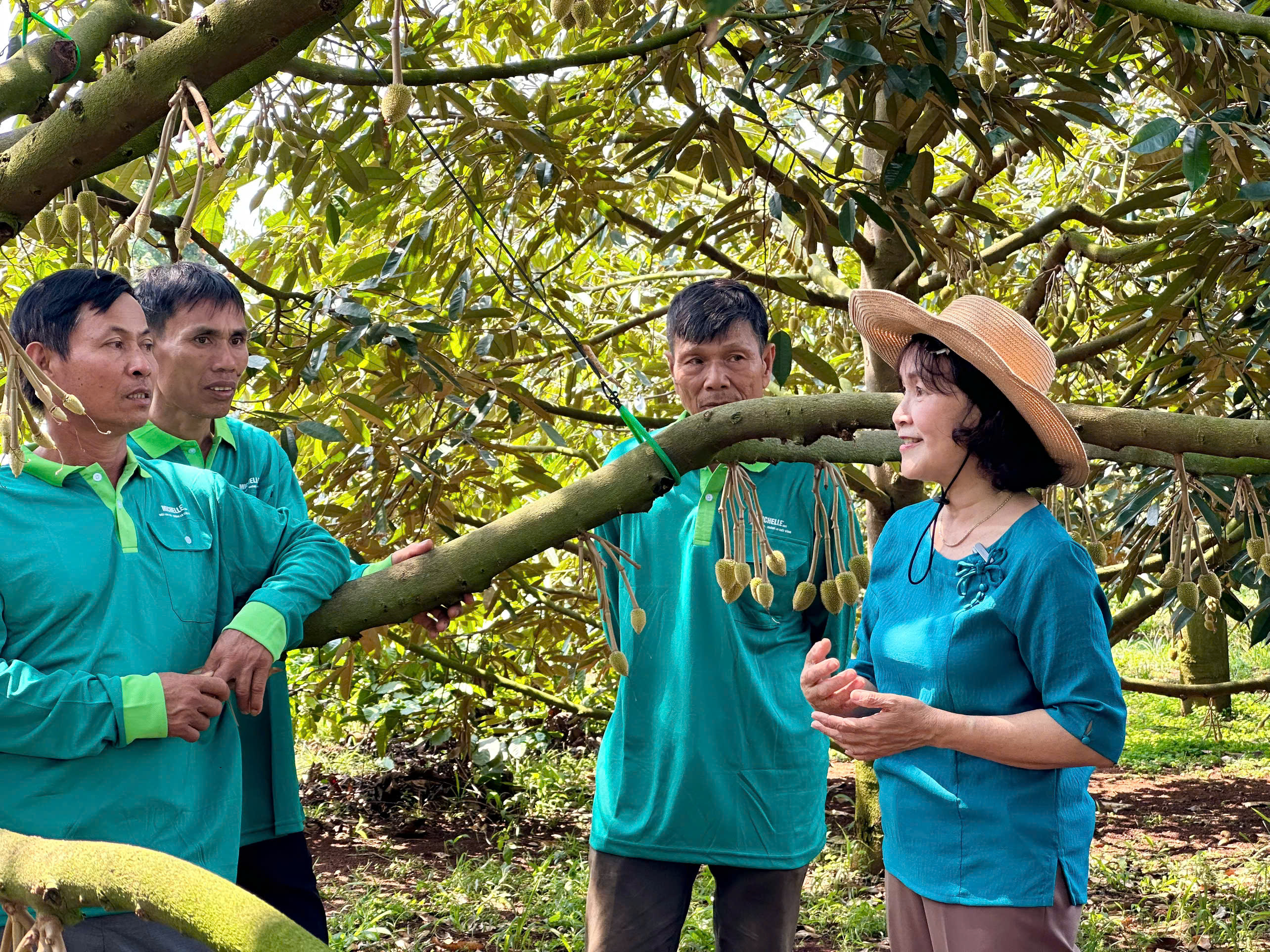 nong-dan-sau-rieng (18)