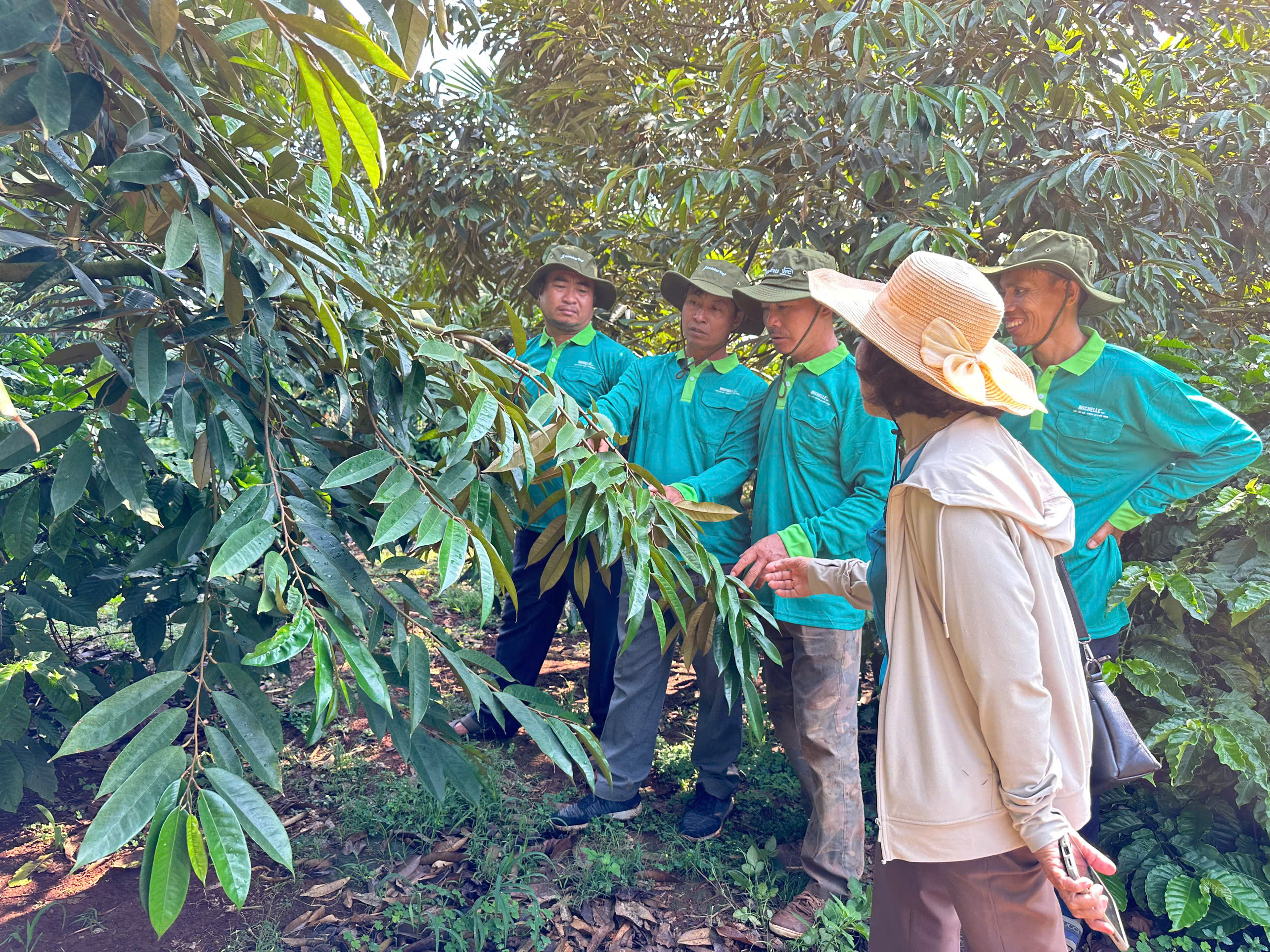 nong-dan-sau-rieng (19)