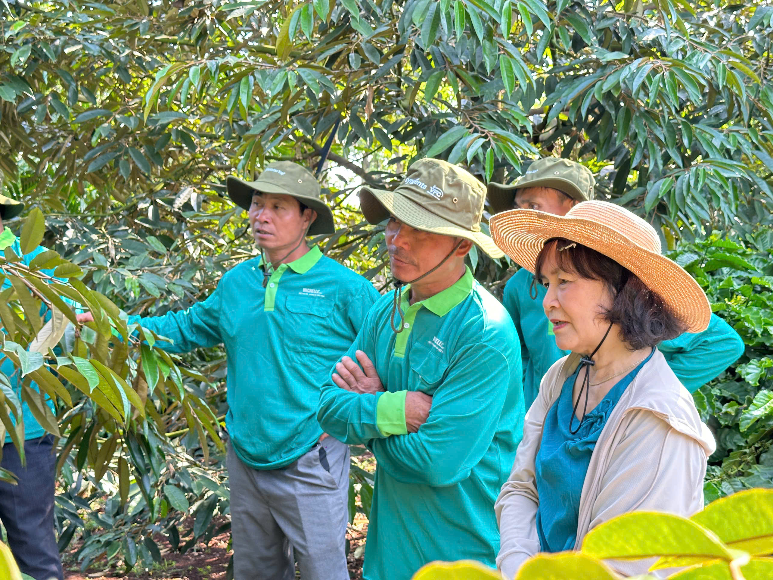 nong-dan-sau-rieng (20)