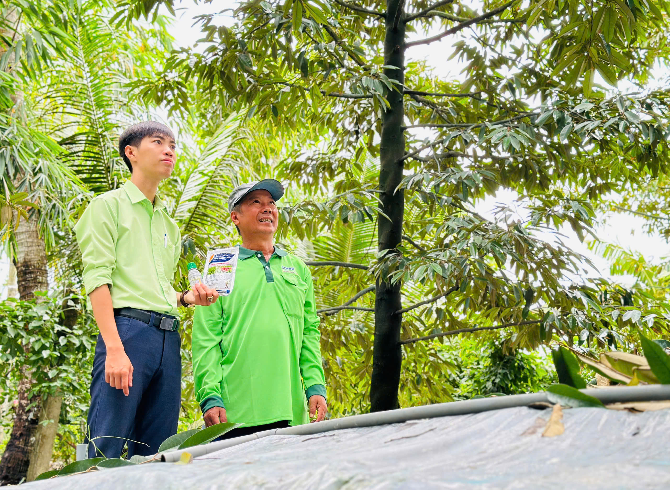 nong-dan-sau-rieng (22)