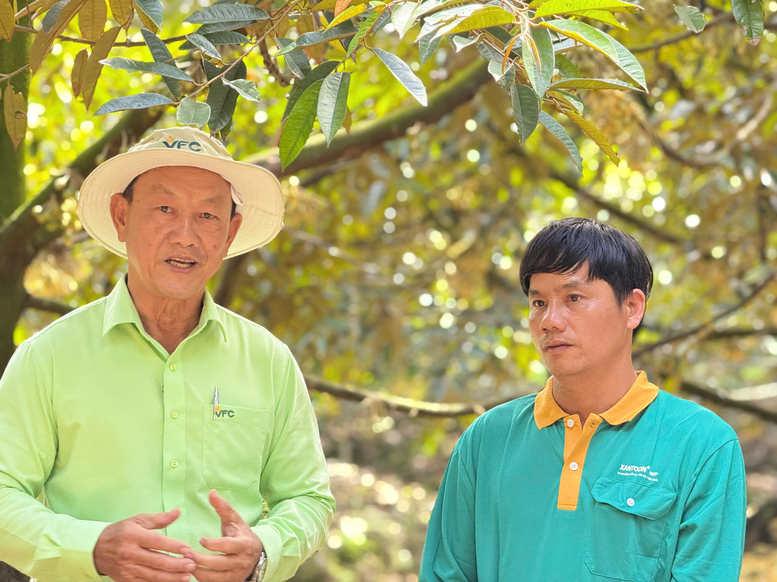 nong-dan-sau-rieng (27)