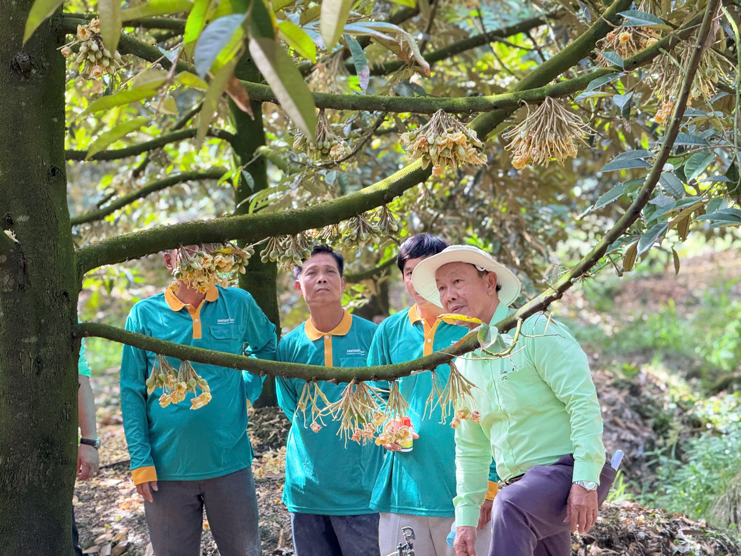 nong-dan-sau-rieng (28)